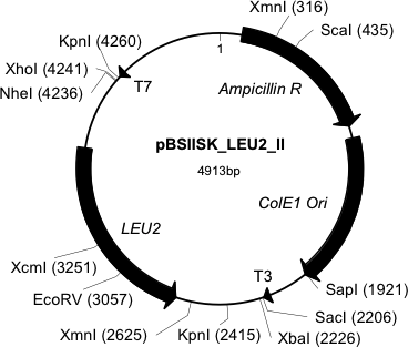 Author Map