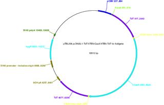 Author Map