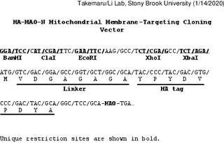 Author Map