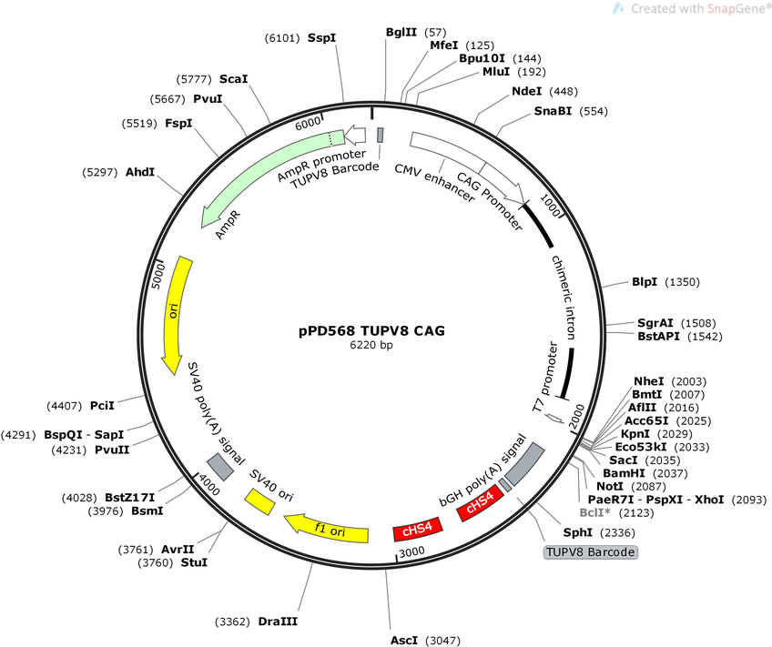 Author Map