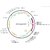 Author Map thumbnail