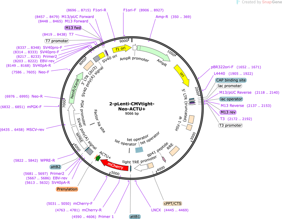 Author Map