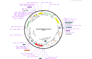 Author Map