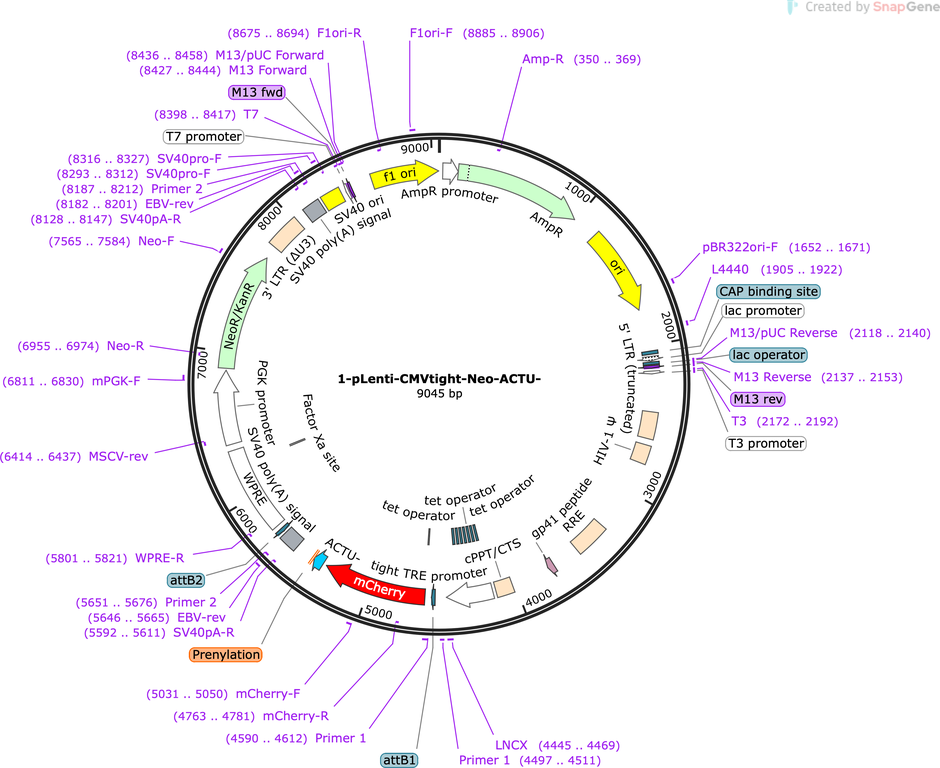 Author Map