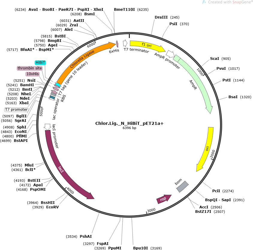 Author Map