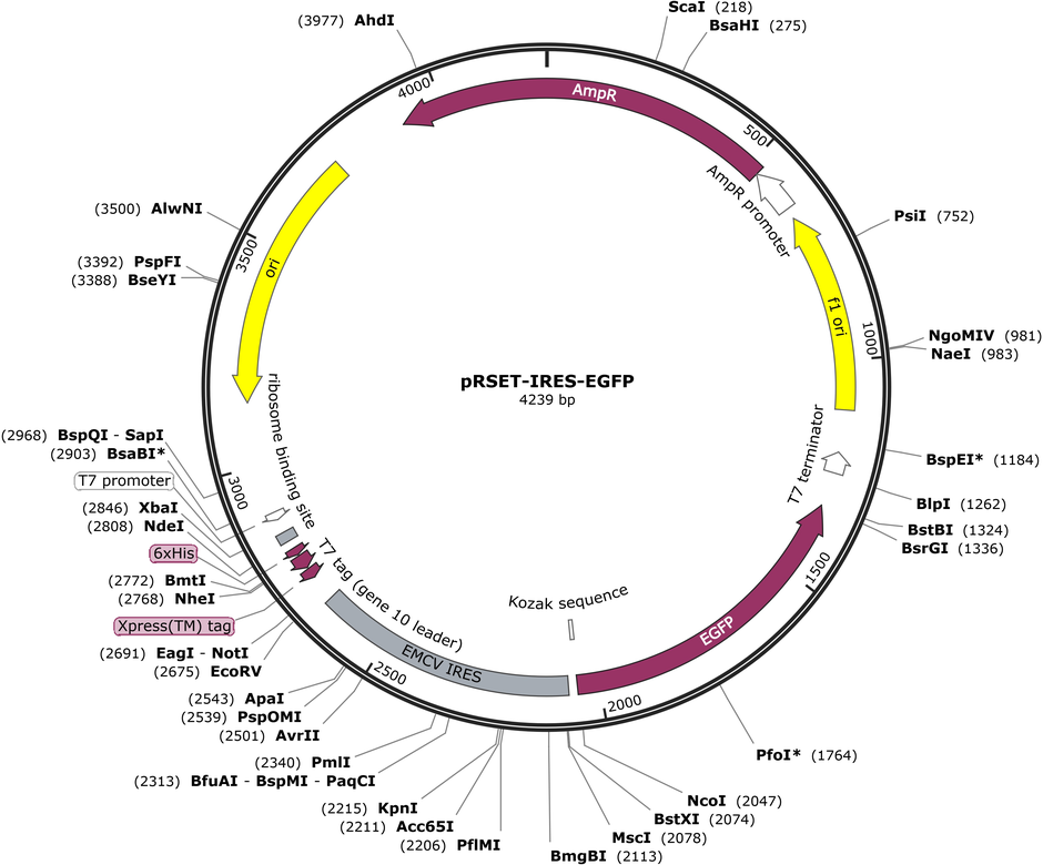 Author Map