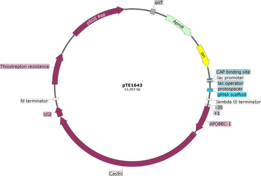 Author Map