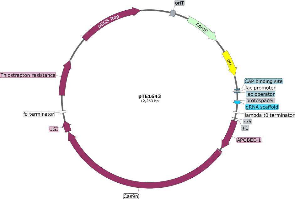 Author Map