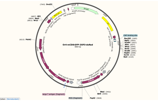 Author Map