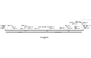 Author Map