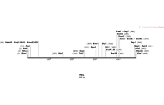 Author Map