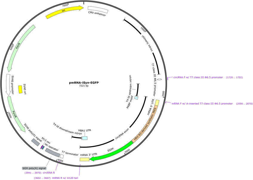 Author Map