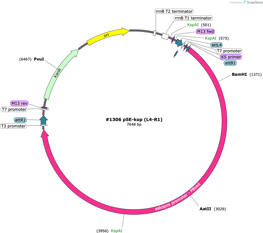 Author Map
