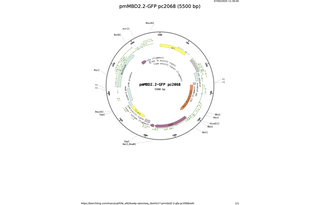 pmMBD2-2-GFP-pc2068.png