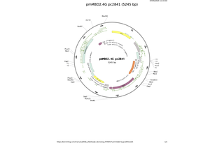 pmMBD2-4G-pc2841.png