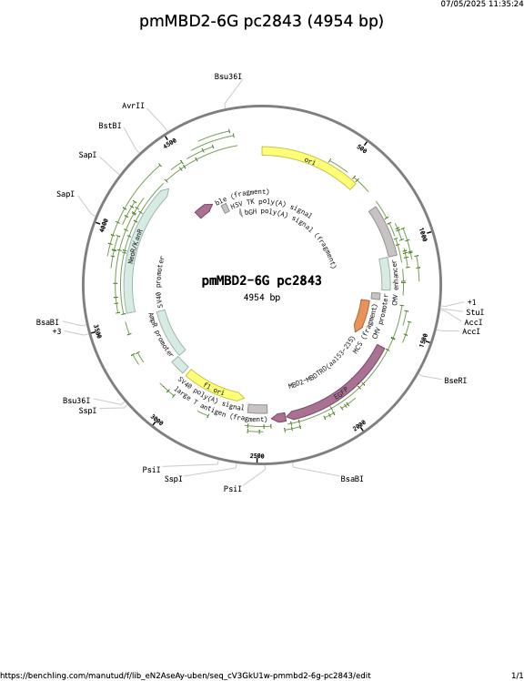pmMBD2-6G-pc2843.png