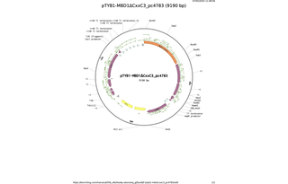 pTYB1-MBD1CxxC3_pc4783.png