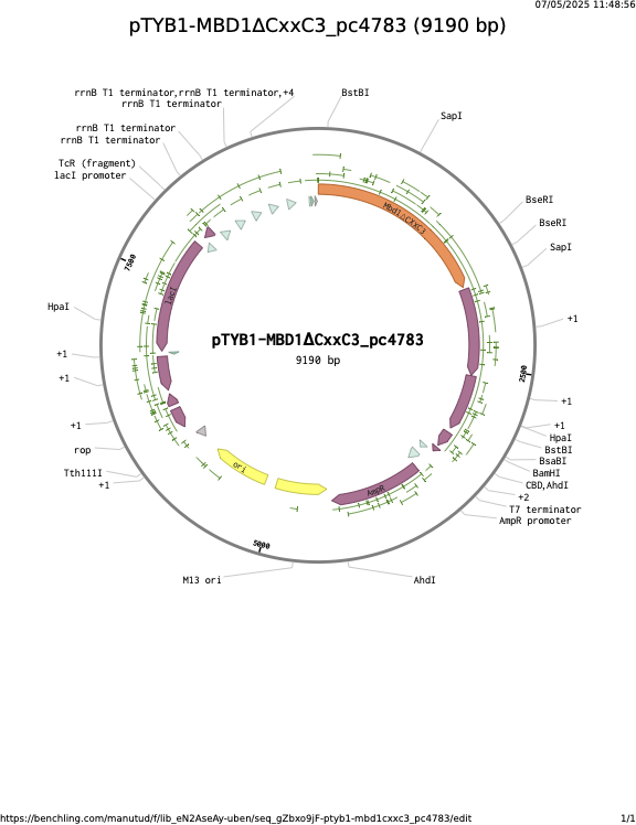 pTYB1-MBD1CxxC3_pc4783.png
