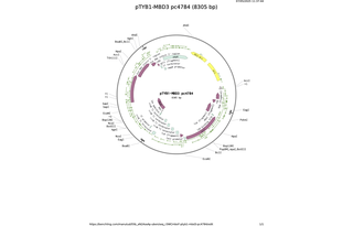 pTYB1-MBD3-pc4784.png