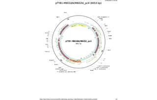 pTYB1-MBD2NMBD2b_pc4787.png