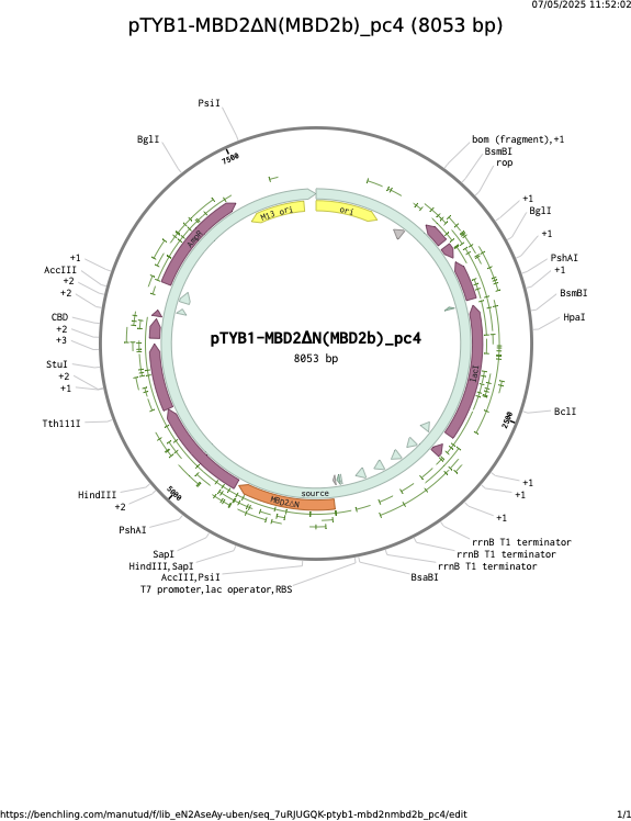 pTYB1-MBD2NMBD2b_pc4787.png