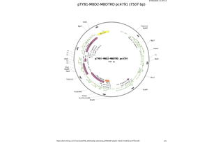 pTYB1-MBD2-MBDTRD-pc4791.png