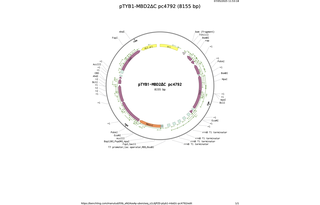pTYB1-MBD2C-pc4792.png
