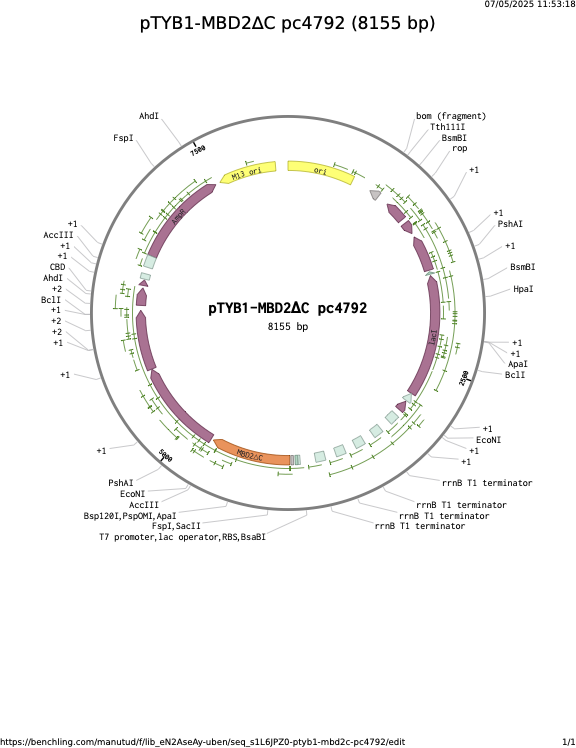 pTYB1-MBD2C-pc4792.png
