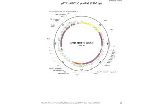 pTYB1-MBD2-C-pc4793.png