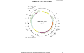 pmMBD2C-G-pc4794.png