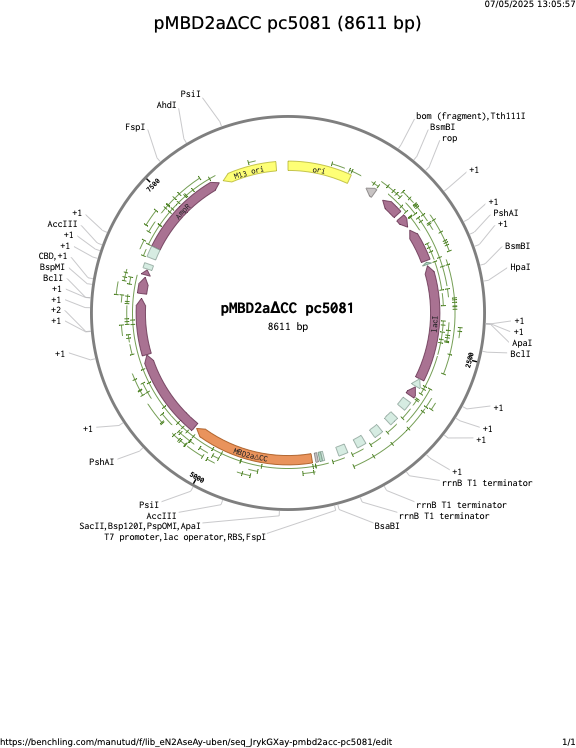 pMBD2aCC-pc5081.png