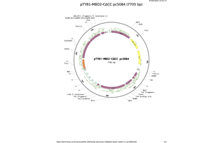 pTYB1-MBD2-CCC-pc5084.png