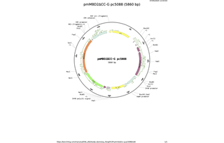 pmMBD2CC-G-pc5088.png