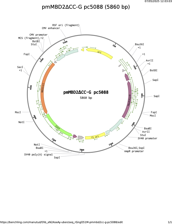 pmMBD2CC-G-pc5088.png