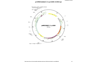 pmMBD2NCC-G-pc5089.png