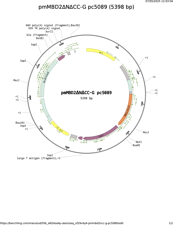 pmMBD2NCC-G-pc5089.png