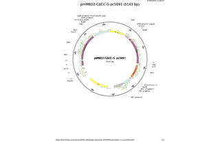 pmMBD2-CCC-G-pc5091.png