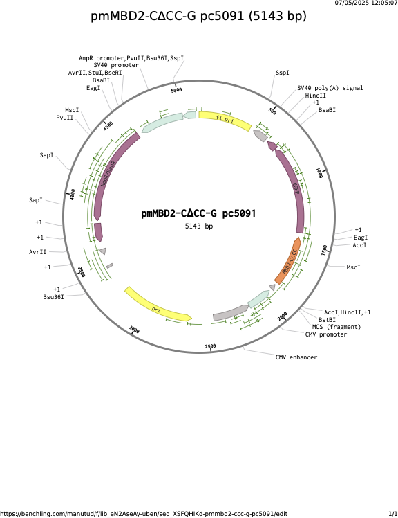 pmMBD2-CCC-G-pc5091.png
