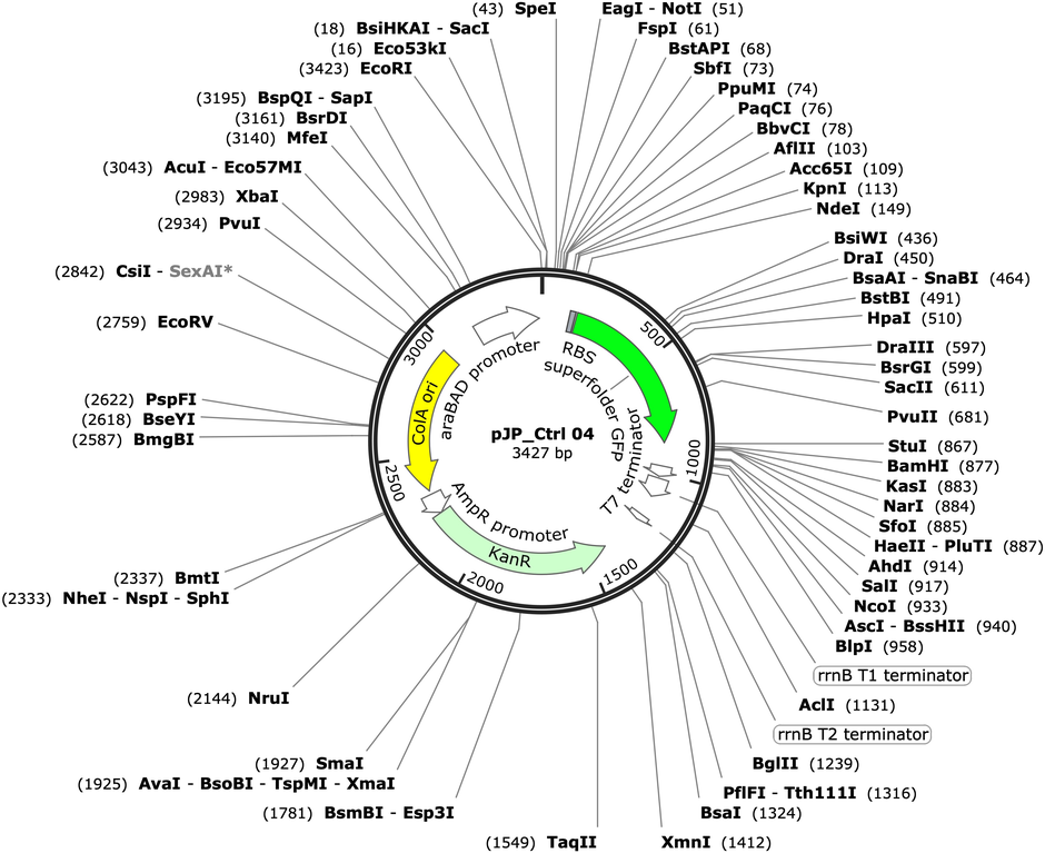 Author Map