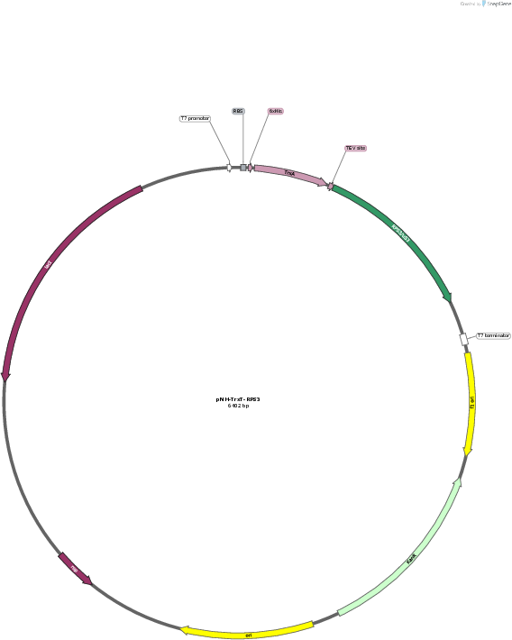 Author Map