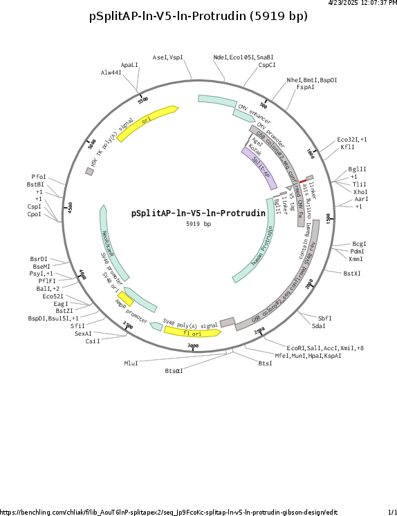 Author Map