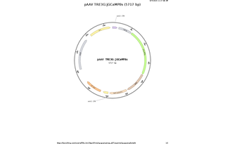 Author Map