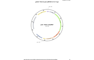 Author Map