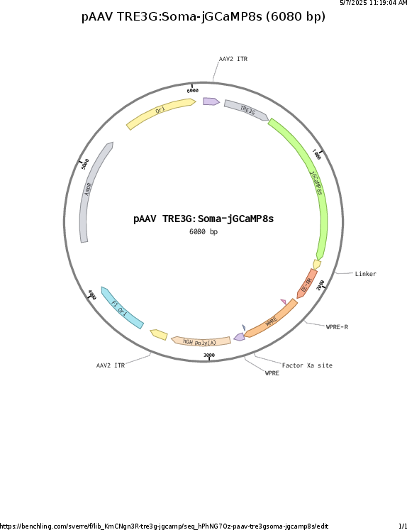 Author Map