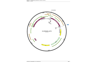 Author Map