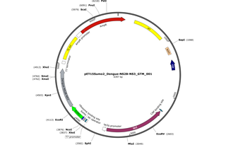 Author Map
