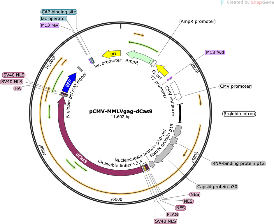 Author Map