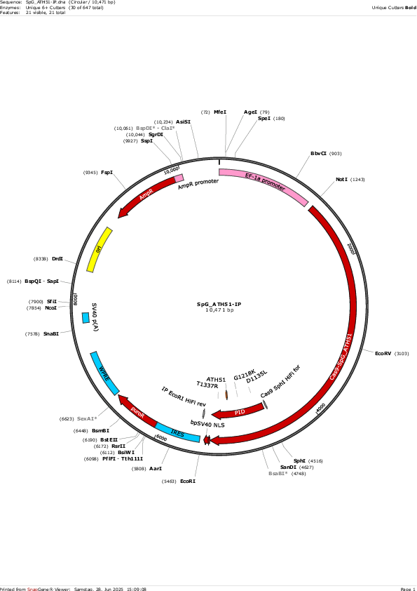 Author Map
