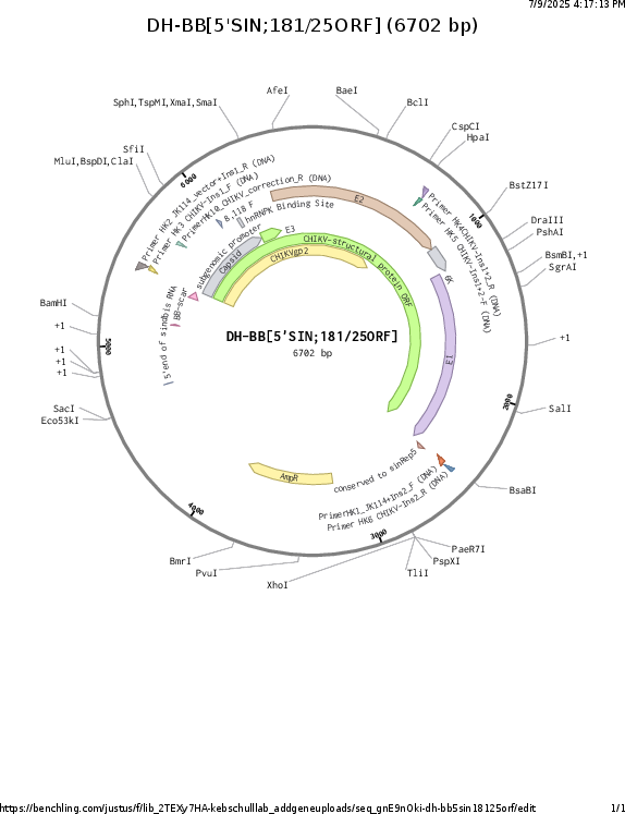 Author Map
