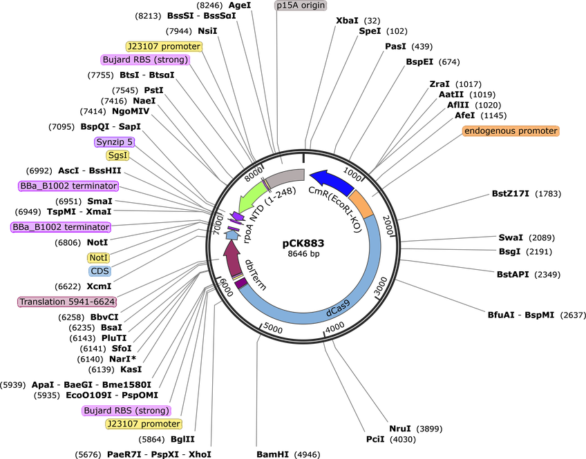Author Map